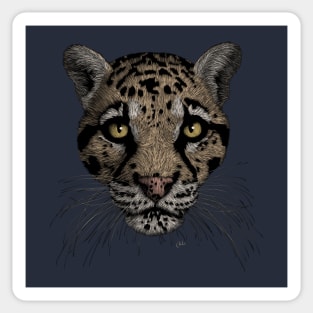 Clouded Leopard Sticker